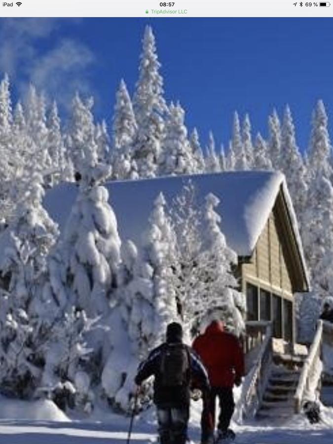 Auberge Centre Ville Chicoutimi Eksteriør billede